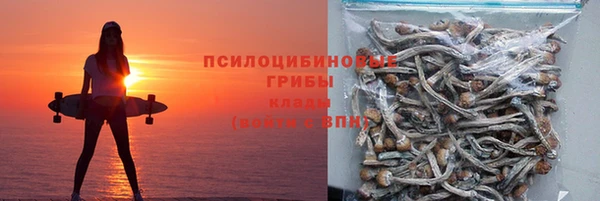 дурь Белоозёрский