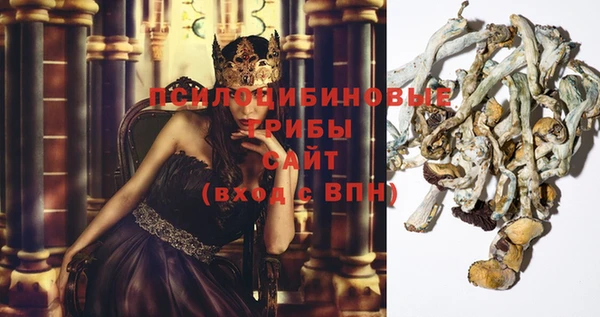 дурь Белоозёрский