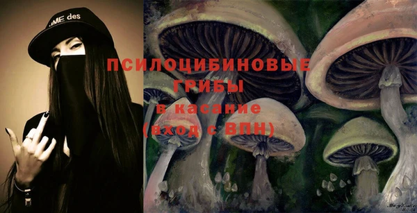 дурь Белоозёрский