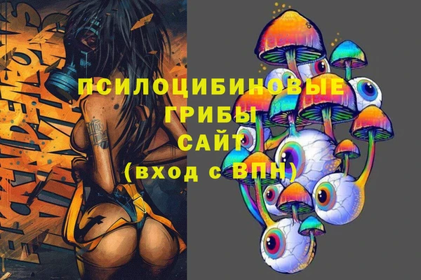 спиды Белокуриха