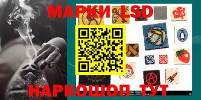 крисы Новокубанск