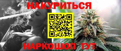 крисы Новокубанск