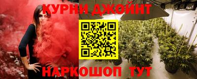 крисы Новокубанск