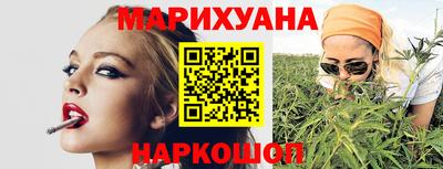 крисы Новокубанск