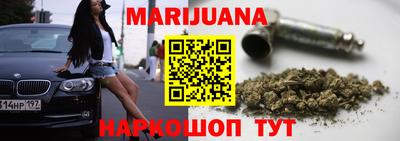 крисы Новокубанск