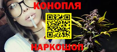 крисы Новокубанск