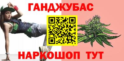крисы Новокубанск
