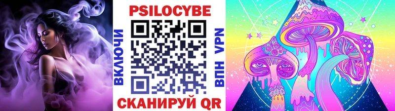 Галлюциногенные грибы Psilocybine cubensis  купить   Городец 
