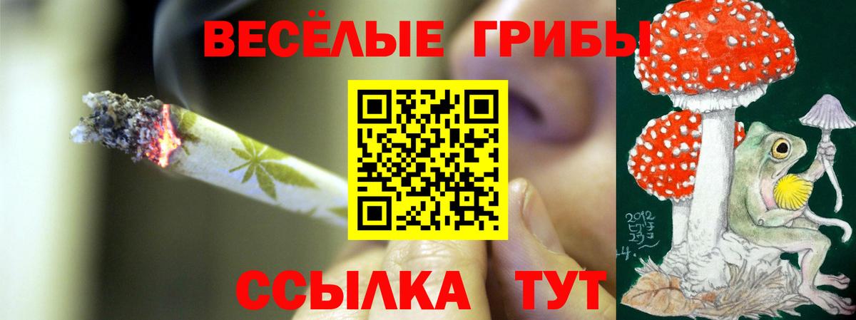 Городец  Галлюциногенные грибы мицелий  Галлюциногенные грибы ЛСД  Вход с VPN 